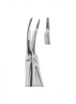 Extracting Forceps